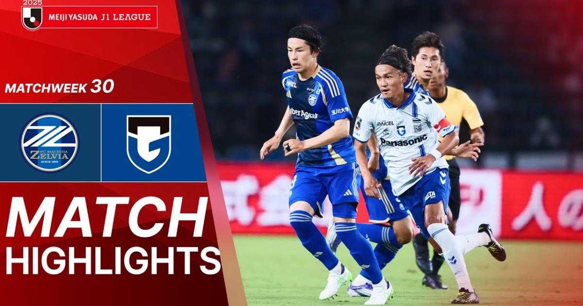 Machida Zelvia - Gamba Osaka