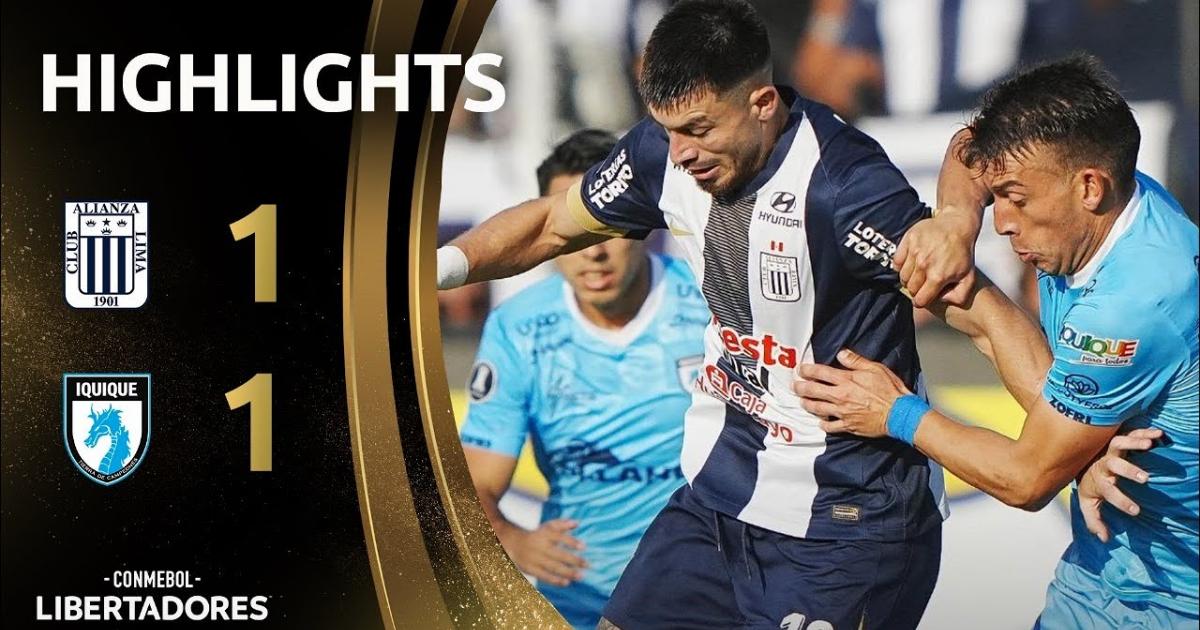 Highlights