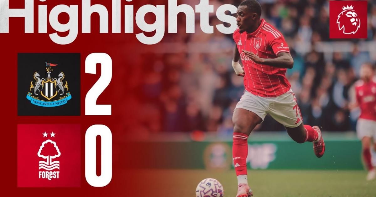 Highlights