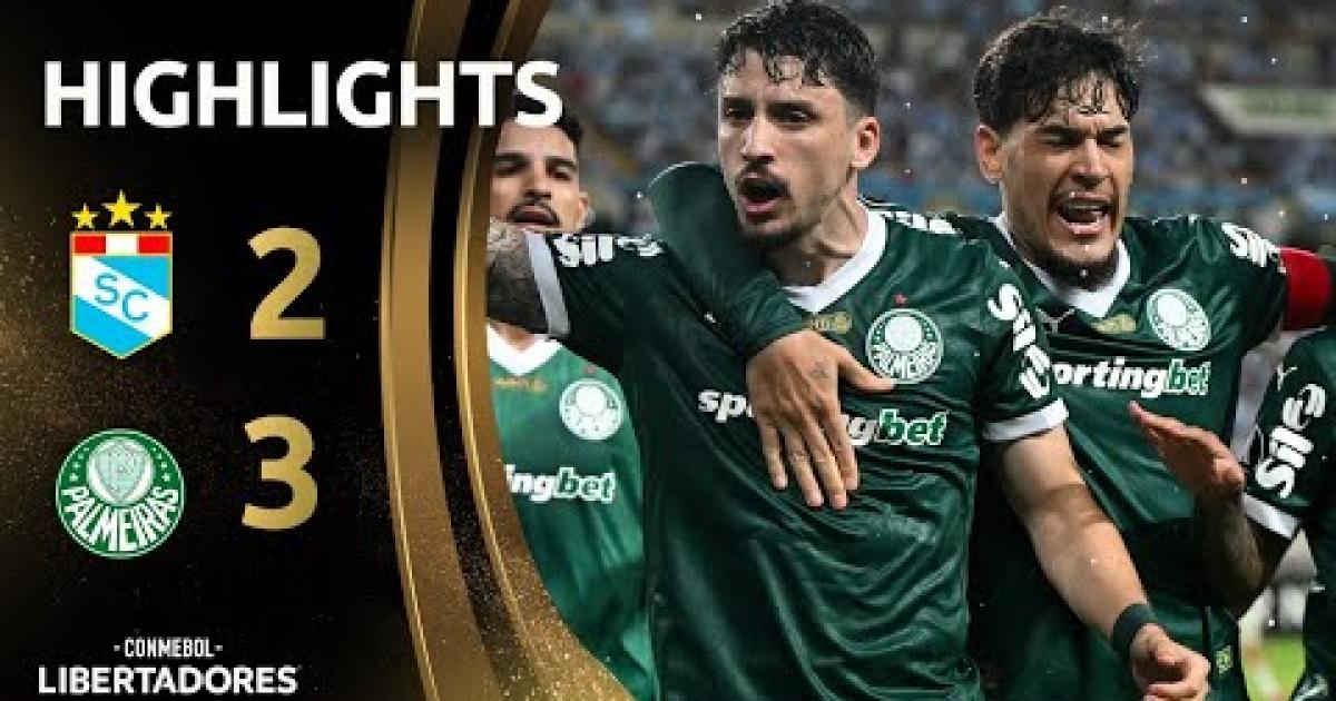 Highlights