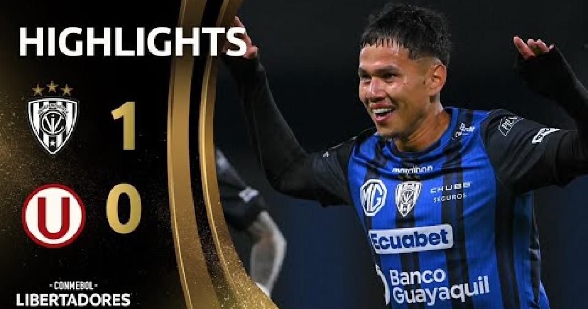 Highlights