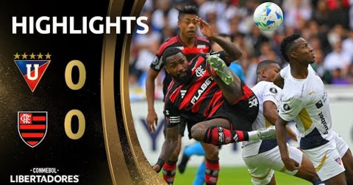 Highlights