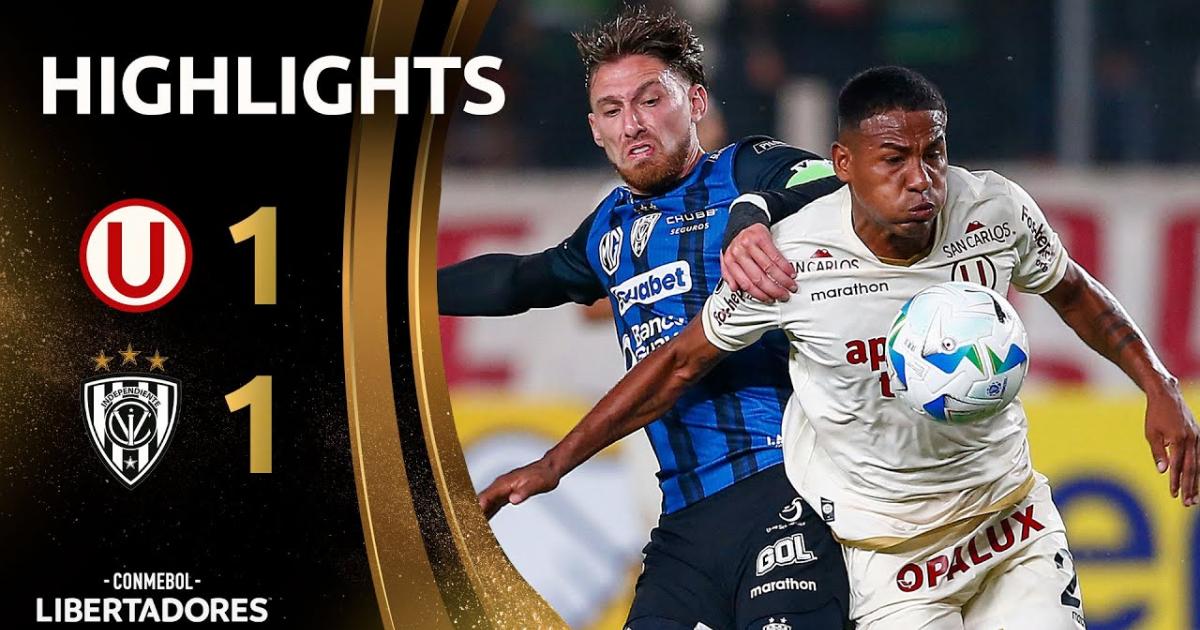 Highlights