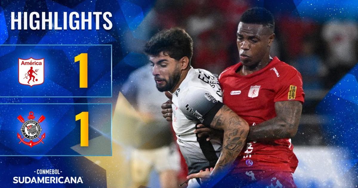 Highlights