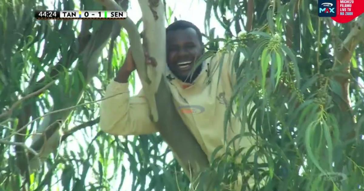 Tanzania - Senegal