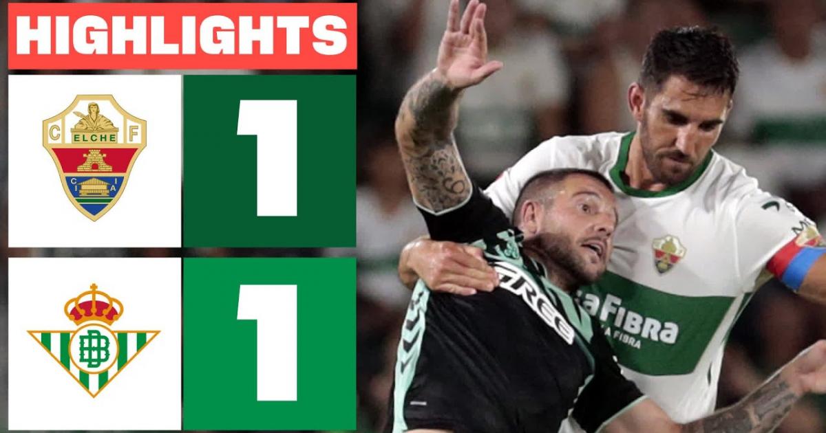 Highlights