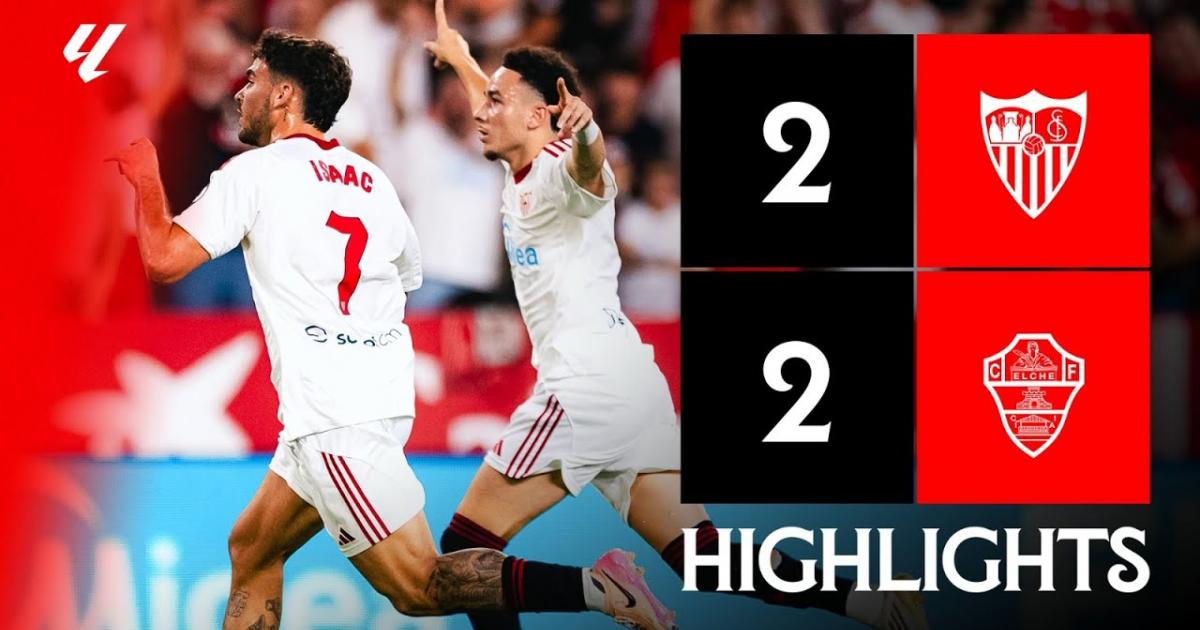 Highlights