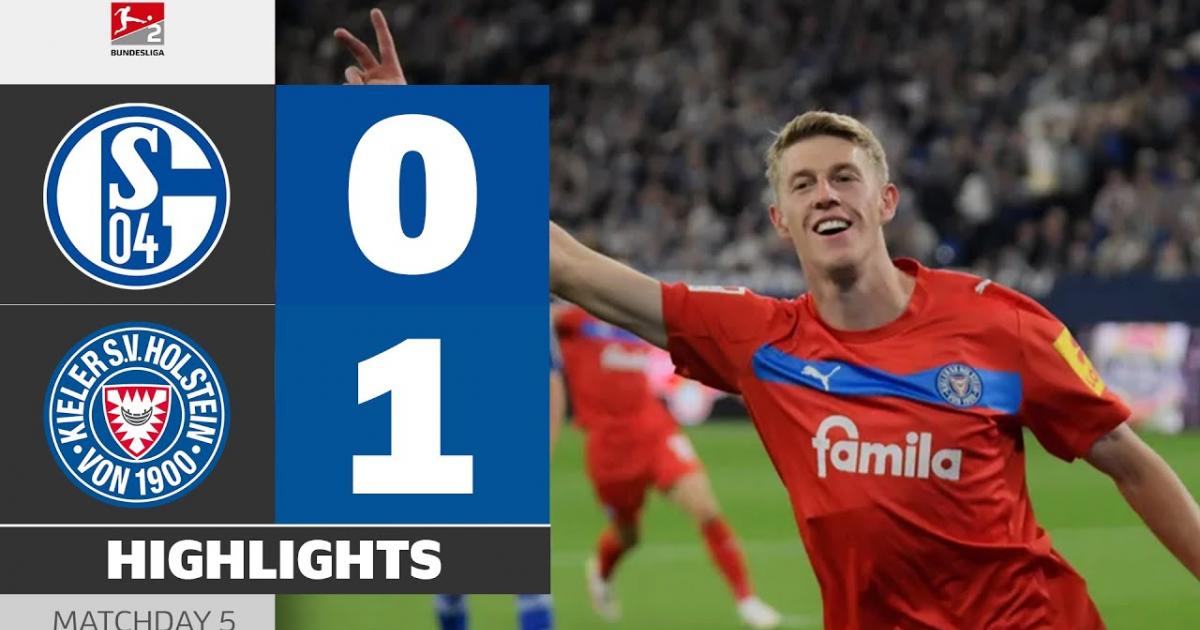 Highlights