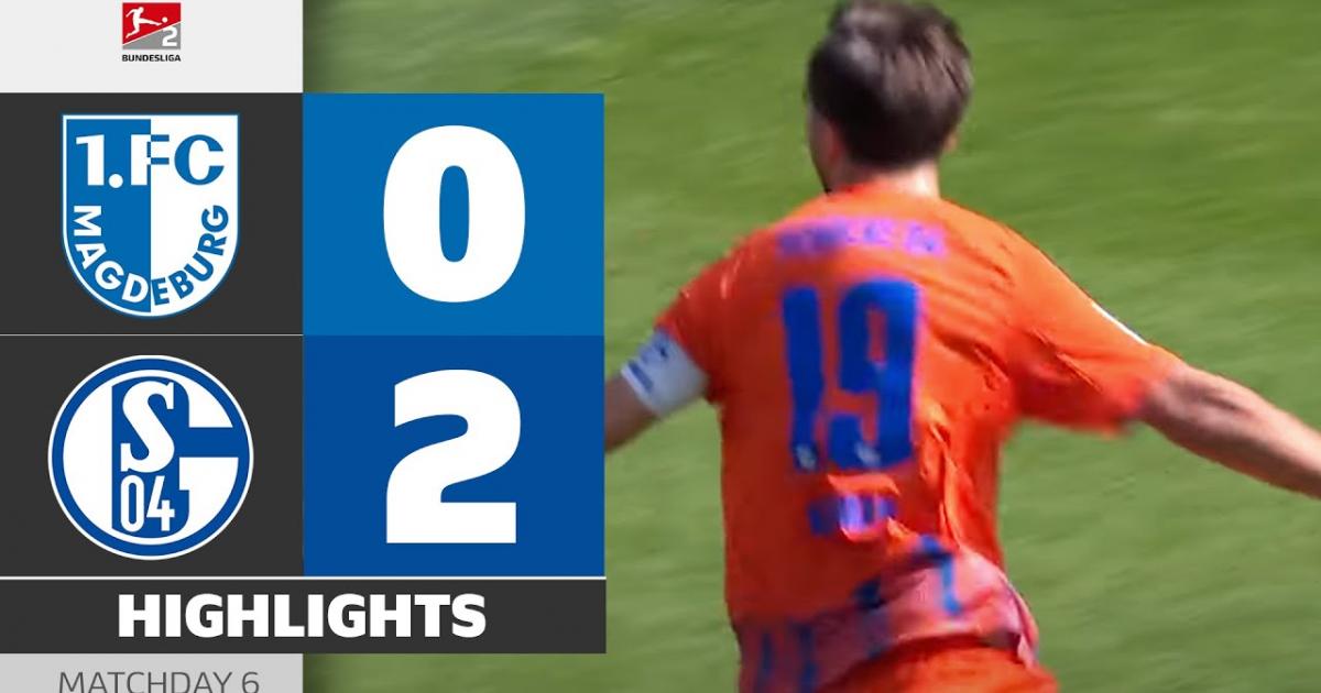 Highlights