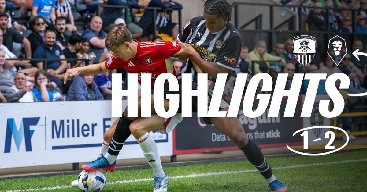 Highlights