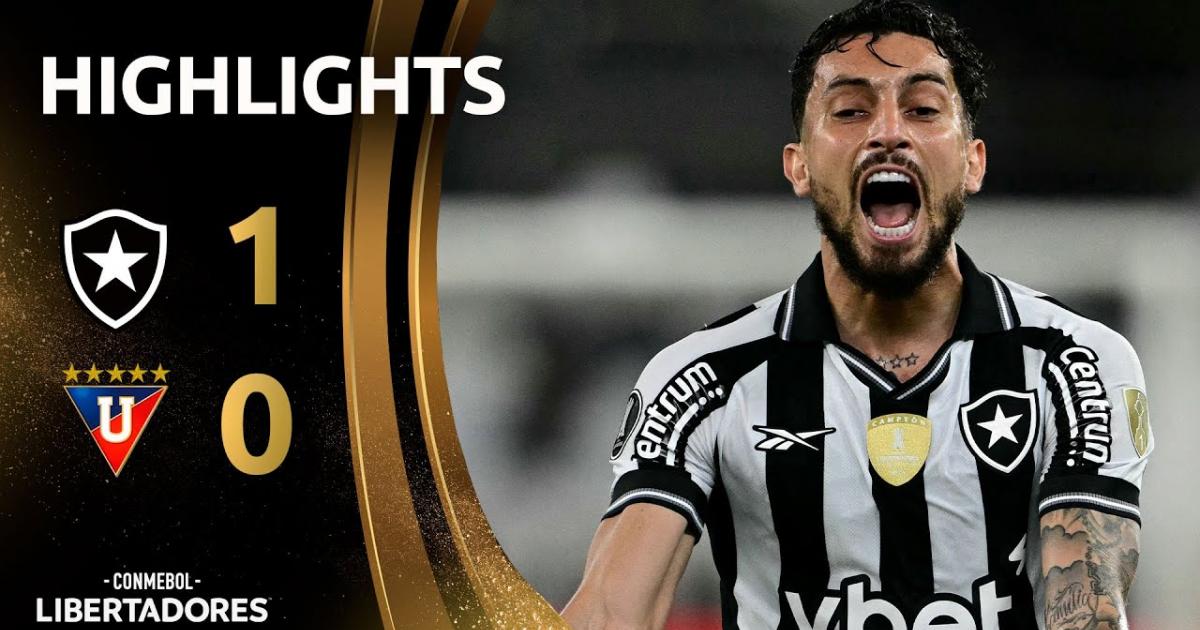 Highlights