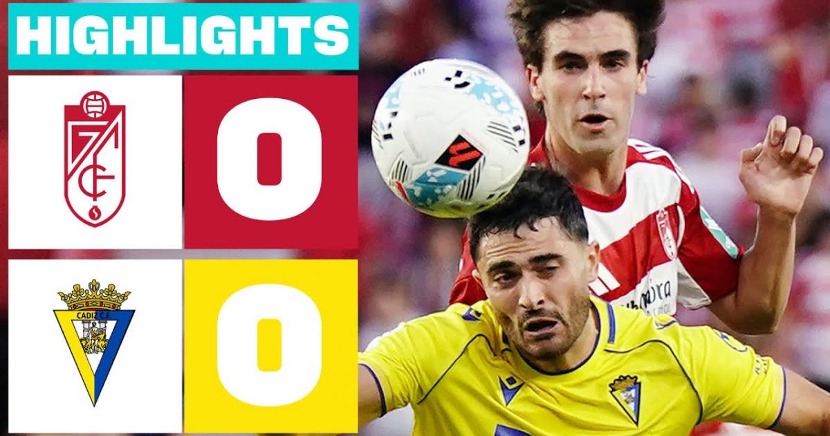 Highlights