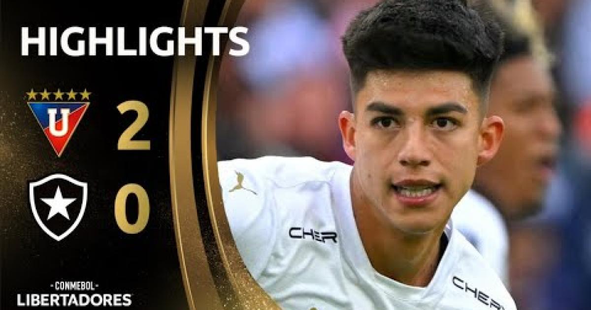 Highlights