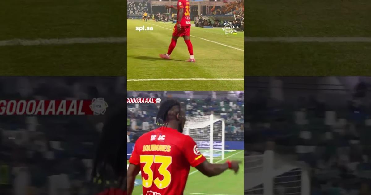 Highlights
