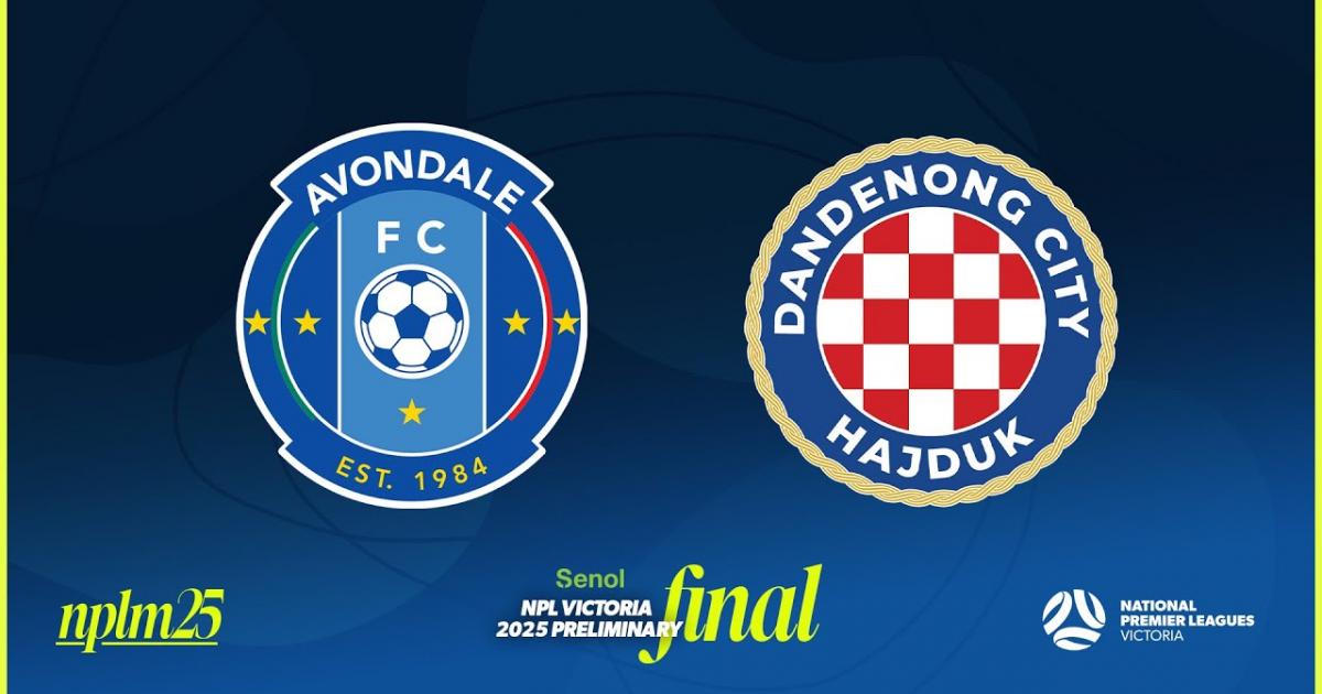 Avondale FC - Dandenong City