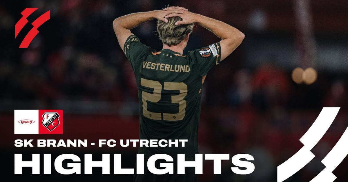 Highlights