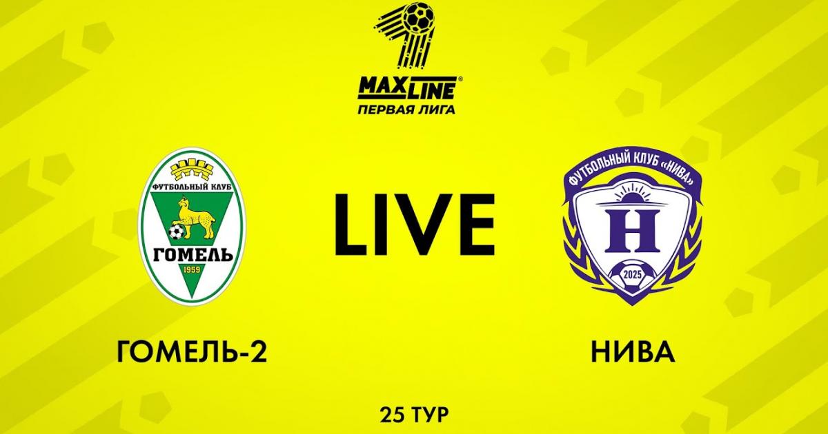 Gomel-2 - Niva Dolbizno