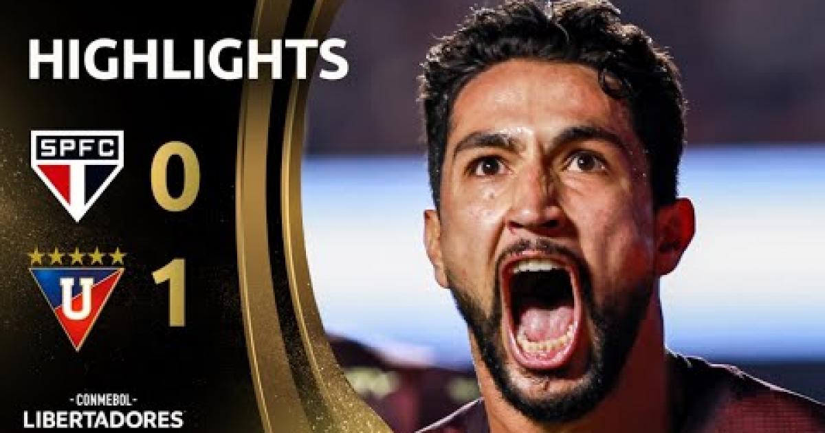 Highlights