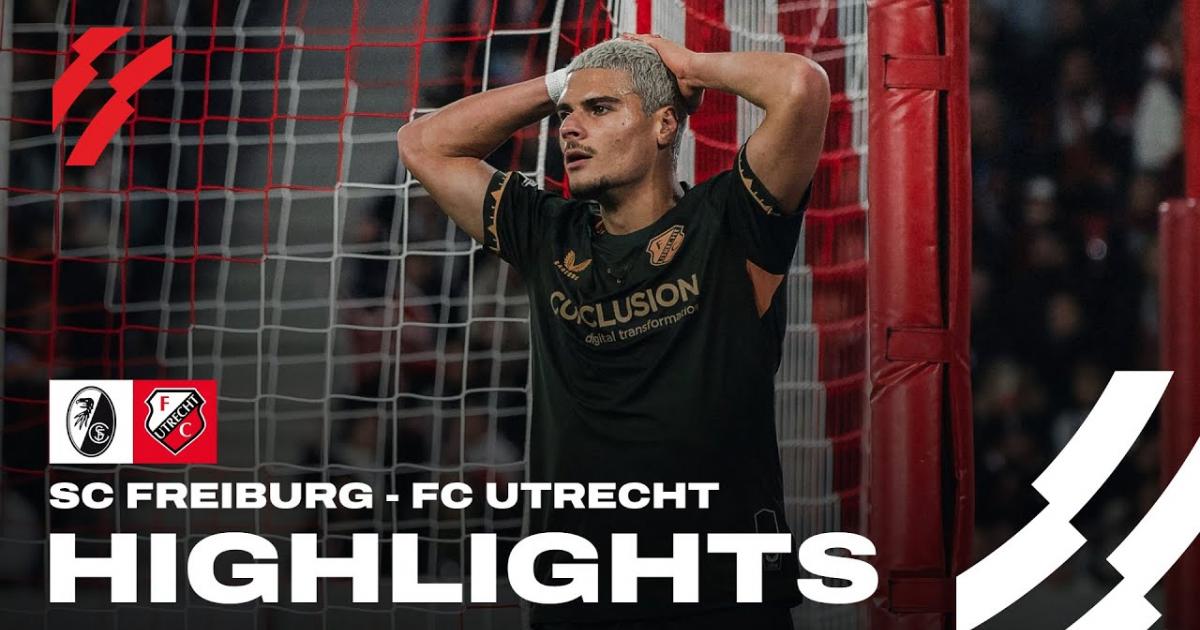 Highlights