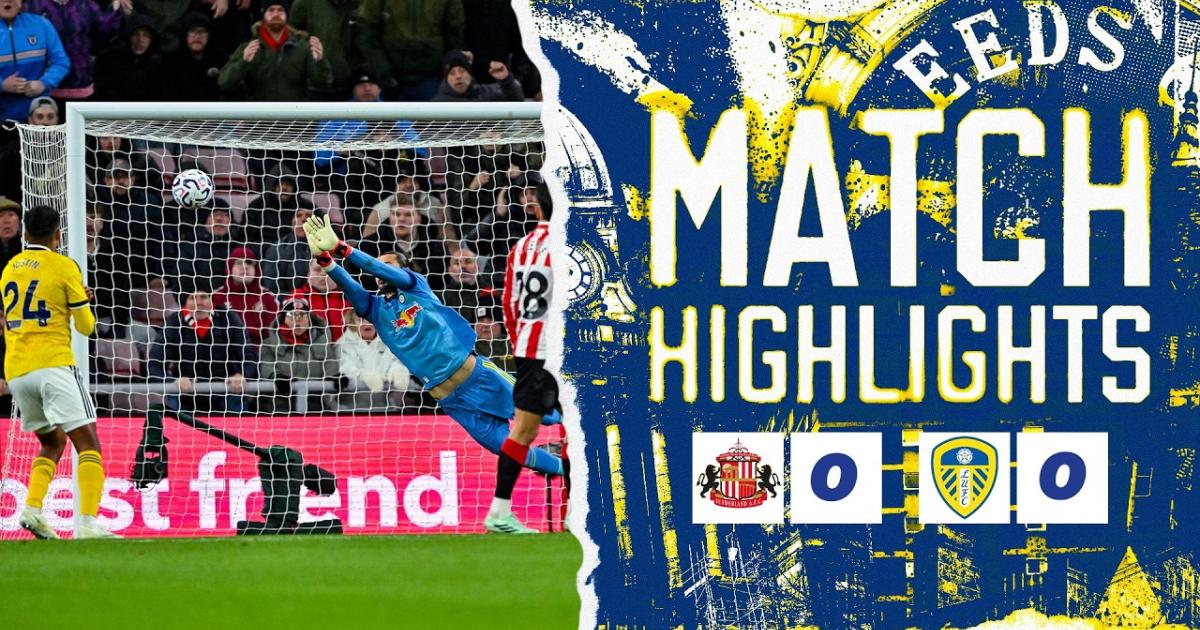 ملخص Sunderland - Leeds