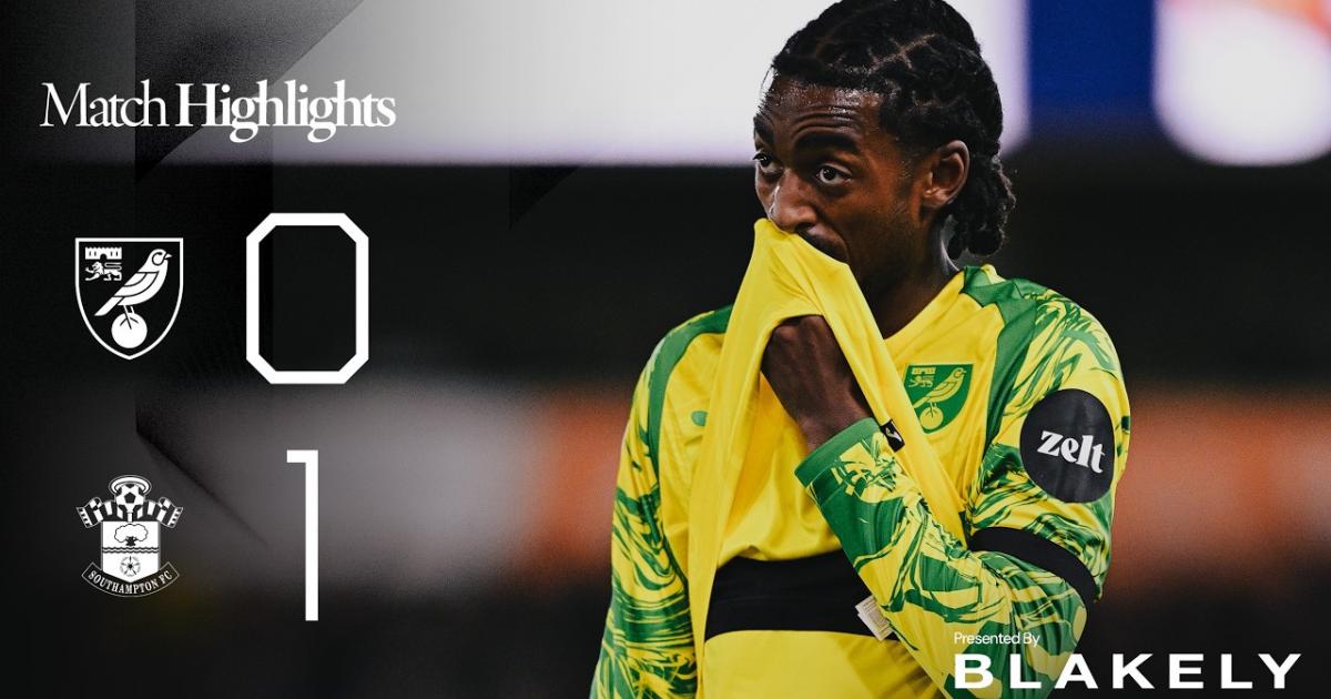 ملخص Norwich City - Southampton