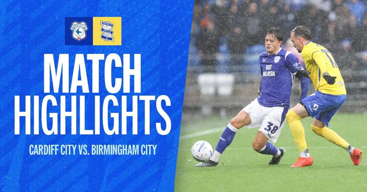 ملخص Cardiff City - Birmingham