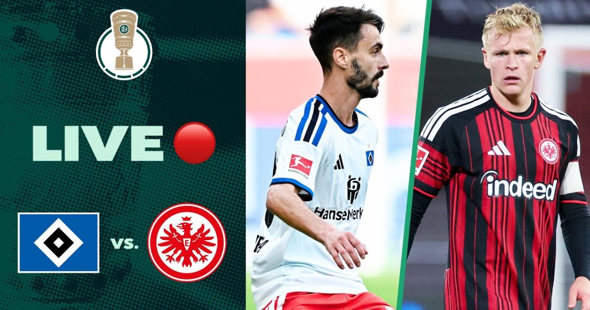 ملخص المباراة Hamburg × آينتراخت فرانكفورت