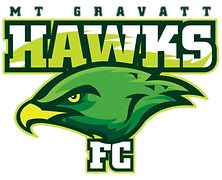 Mt Gravatt Hawks logo