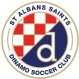 St. Albans Saints logo