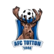 Totton logo