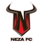 Toros Neza logo