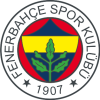 Fenerbahce U-19 logo