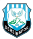 Dersim Spor logo