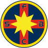 Steaua U-19 logo