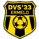 DVS 33 logo