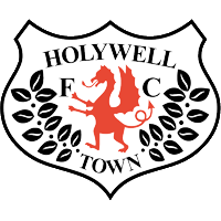 Holywell logo