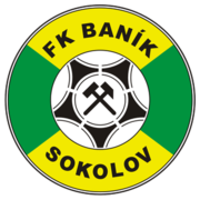 Sokolov logo
