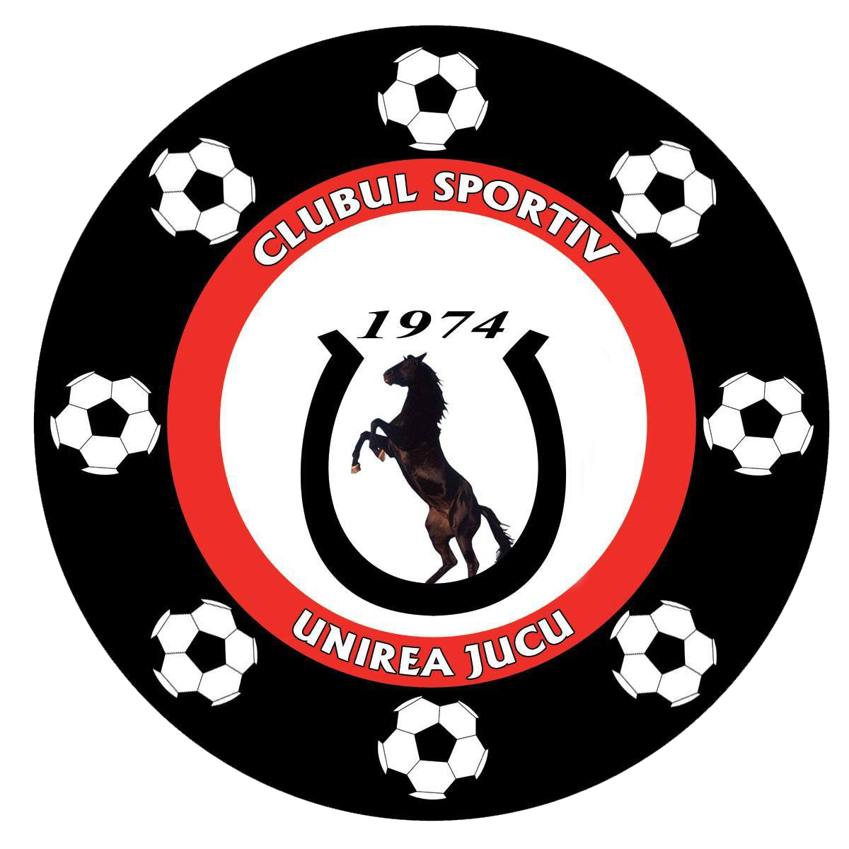 Unirea Jucu logo
