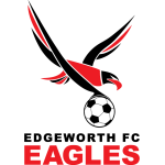 Edgeworth Eagles logo