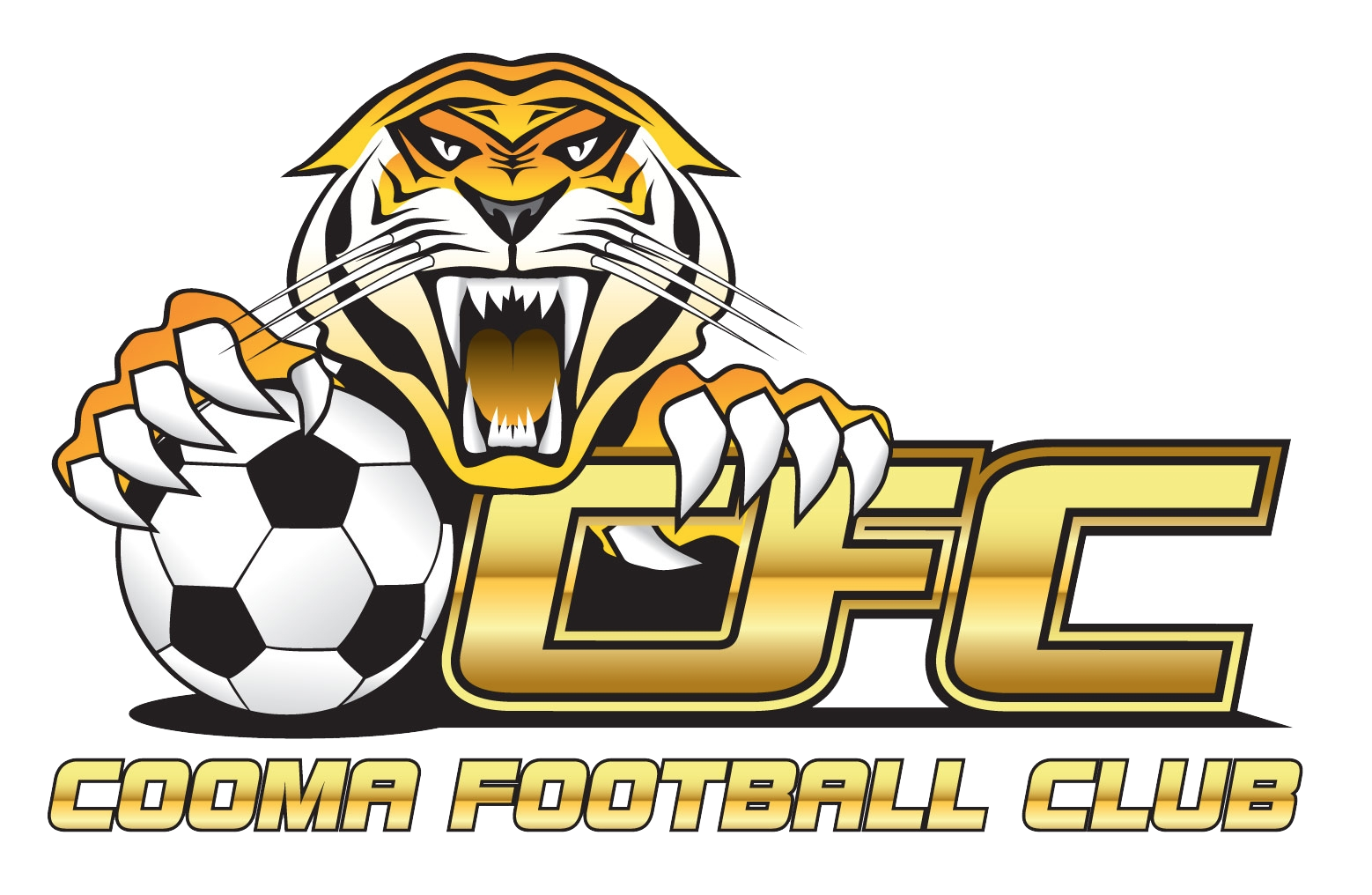 Cooma Tigers logo