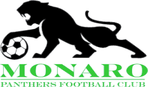 Monaro Panthers logo