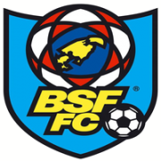 BSF W logo