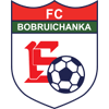 Bobruichanka W logo