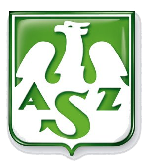 Biala Podlaska W logo