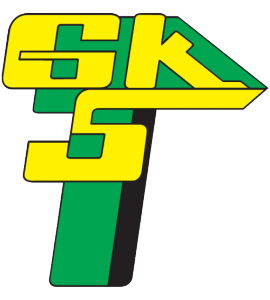 Gornik Leczna W logo