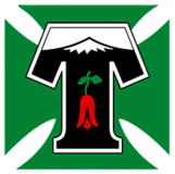 Deportes Temuco logo