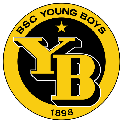 Young Boys W logo