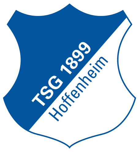 Hoffenheim U-19 logo