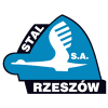 Stal Rzeszow U-19 logo