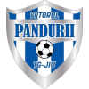 Viitorul-2 logo